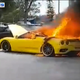 (Photo Credit: 9 News Australia screengrab)